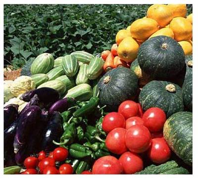 重慶市萬州區人大代表 蒞臨百安港農產品批發市場視察